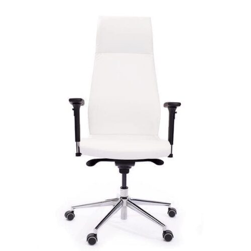 Ergonominė vadovo kėdė FLORENCIA