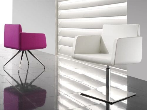 Minkštasuolių šeima CLAUDIA