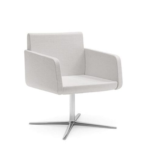 Minkštasuolių šeima CLAUDIA