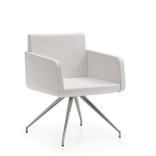 Minkštasuolių šeima CLAUDIA