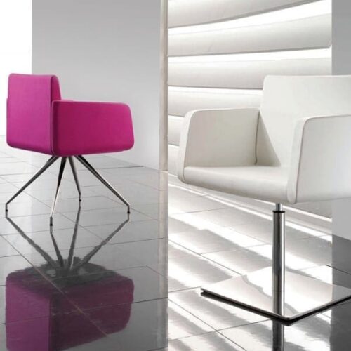 Minkštasuolių šeima CLAUDIA