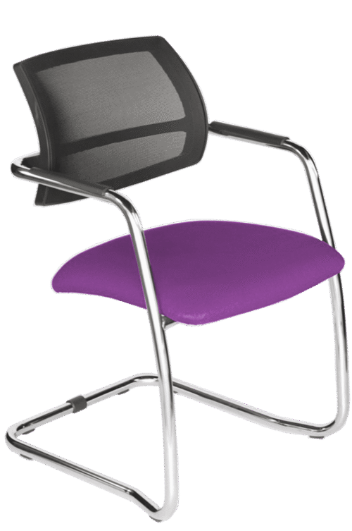 Lankytojų ir posėdžių kėdė CLARA NET