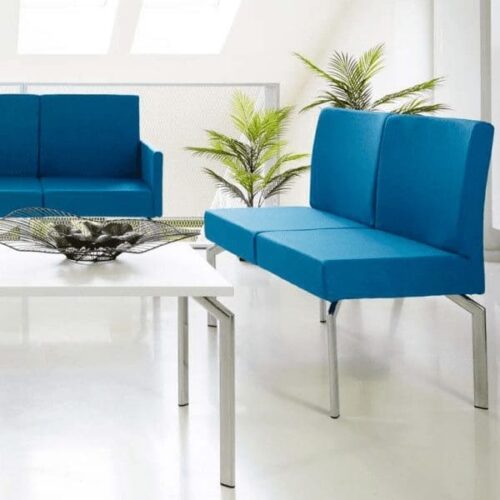 MINKSTASUOLIU-SEIMA_MENSA Minkštasuolių šeima MENSA