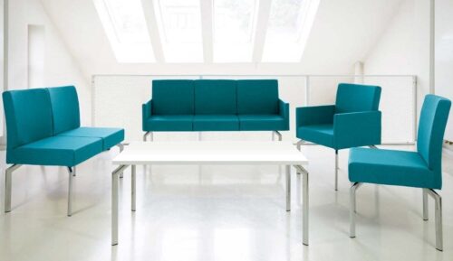 MINKŠTASUOLIU ŠEIMA_MENSA_2_2 Minkštasuolių šeima MENSA