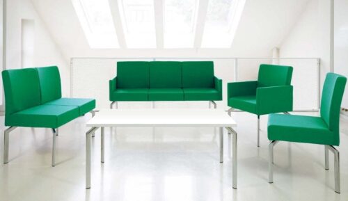 MINKŠTASUOLIU ŠEIMA_MENSA_2_3 Minkštasuolių šeima MENSA