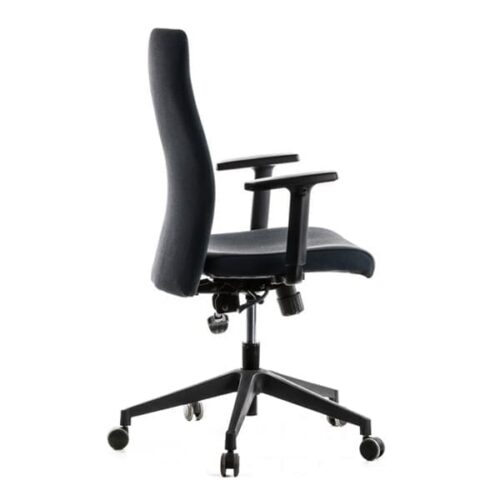 Ergonominė darbuotojo kėdė CLASSIC PLUS