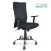 Ergonominė darbuotojo kėdė CLASSIC PLUS