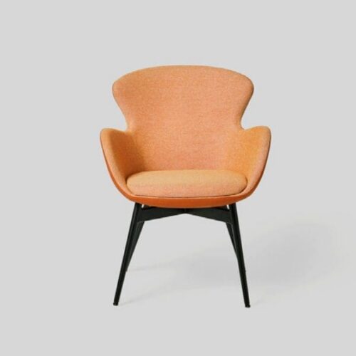 Minkštasuolių šeima AMBRA