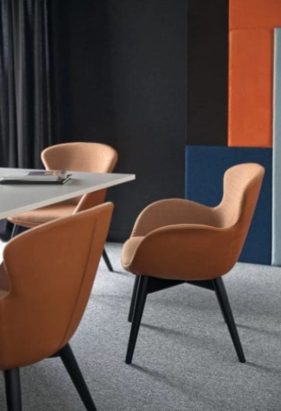 Minkštasuolių šeima AMBRA