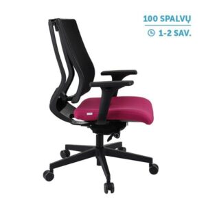 Ergonominė darbuotojo kėdė MAXPRO BS black