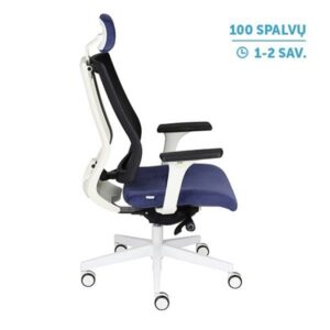 Ergonominė darbuotojo kėdė MAXPRO WS HD white