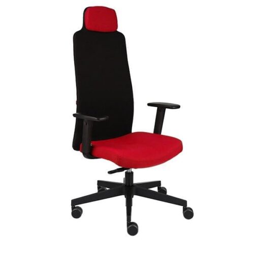 Ergonominė darbuotojo kėdė MIKE B black