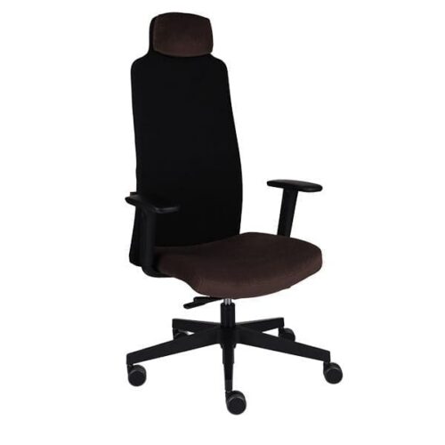 Ergonominė darbuotojo kėdė MIKE B black