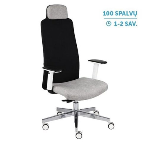 Ergonominė darbuotojo kėdė MIKE W chrome