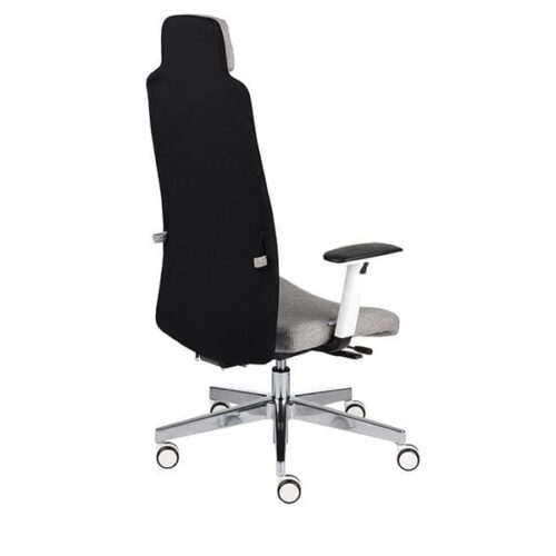 Ergonominė darbuotojo kėdė MIKE W chrome