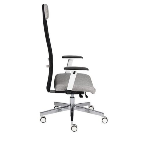 Ergonominė darbuotojo kėdė MIKE W chrome