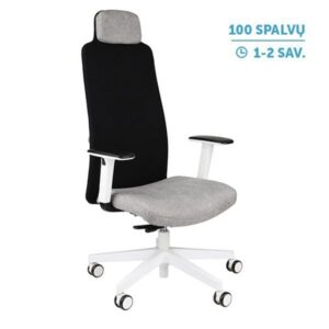 Ergonominė darbuotojo kėdė MIKE W white