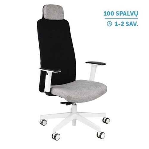 Ergonominė darbuotojo kėdė MIKE W white