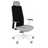 Ergonominė darbuotojo kėdė MIKE W white