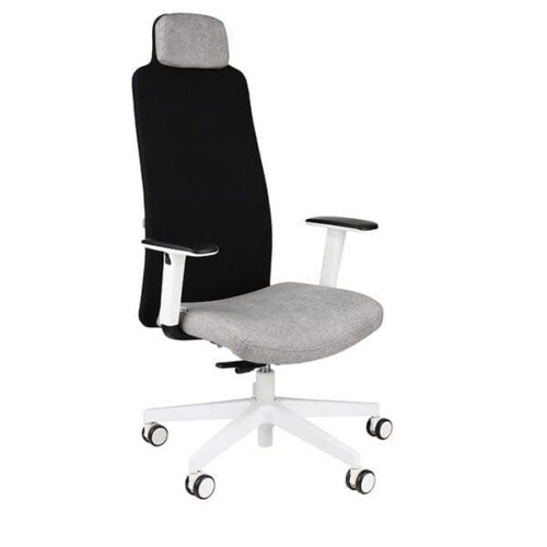 Ergonominė darbuotojo kėdė MIKE W white