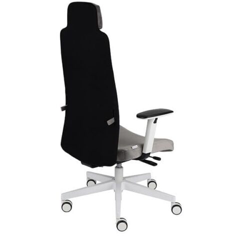 Ergonominė darbuotojo kėdė MIKE W white