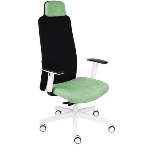 Ergonominė darbuotojo kėdė MIKE W white