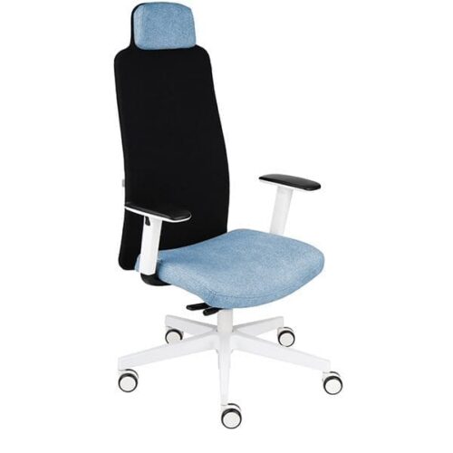 Ergonominė darbuotojo kėdė MIKE W white