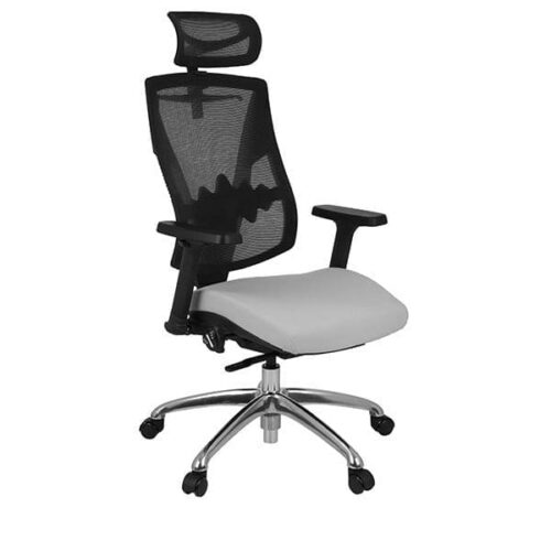 Ergonominė darbuotojo kėdė Futura 4S Plus