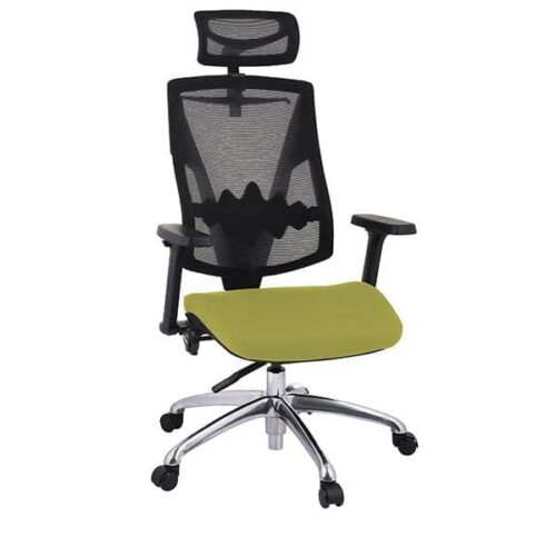Ergonominė darbuotojo kėdė Futura 4S Plus