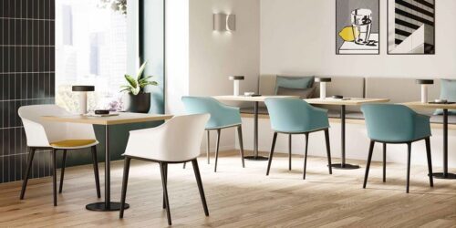 Lankytojų ir posėdžių kėdė NADO