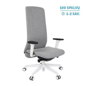 Ergonominė vadovo kėdė SMART W white