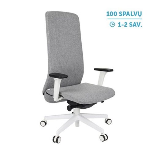 Ergonominė vadovo kėdė SMART W white