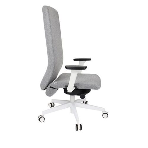 Ergonominė vadovo kėdė SMART W white