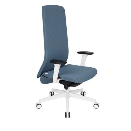Ergonominė vadovo kėdė SMART W white