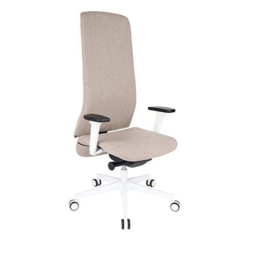 Ergonominė vadovo kėdė SMART W white
