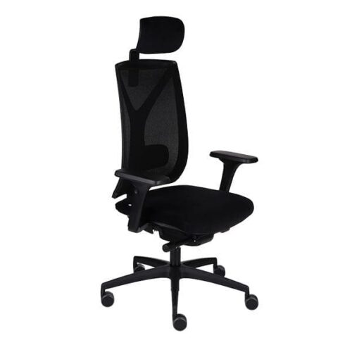 Ergonominė darbuotojo kėdė VALIO BS HD black