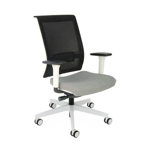 Ergonominė darbuotojo kėdė LEVEL WS white