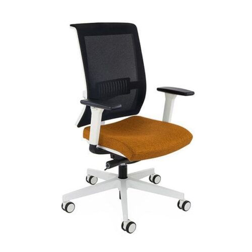 Ergonominė darbuotojo kėdė LEVEL WS white