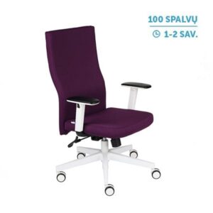 Ergonominė darbuotojo kėdė TEAM W PLUS white