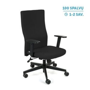 Ergonominė darbuotojo kėdė TEAM PLUS black