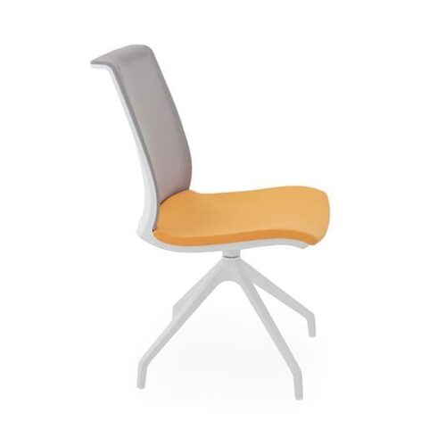 Lankytojų ir posėdžių kėdė LEVEL Cross WS