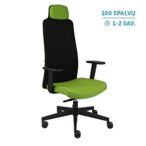 Ergonominė darbuotojo kėdė MIKE B black