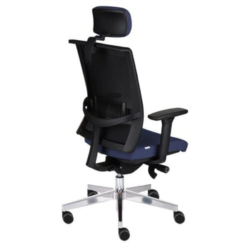 Ergonominė darbuotojo kėdė LEVEL BS HD chrome