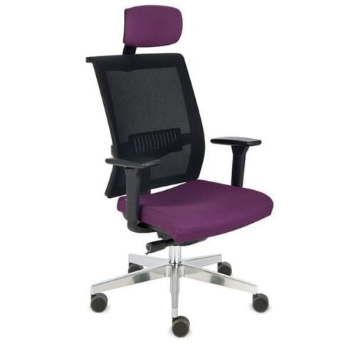 Ergonominė darbuotojo kėdė LEVEL BS HD chrome