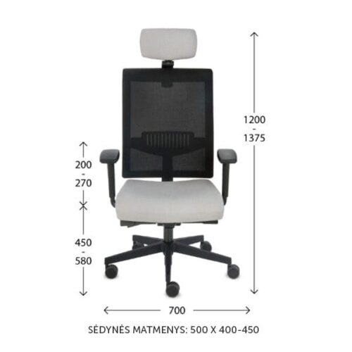 Ergonominė darbuotojo kėdė LEVEL BS HD chrome