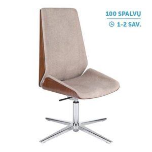 Lankytojų ir posėdžių krėslas MOON WOOD CF