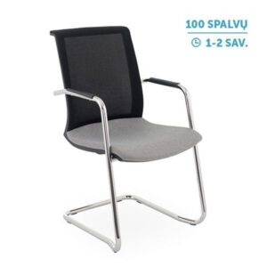 Lankytojų ir posėdžių kėdė LEVEL V BS ARM