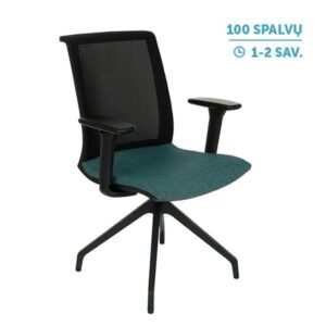 Lankytojų ir posėdžių kėdė LEVEL CROSS BS R1