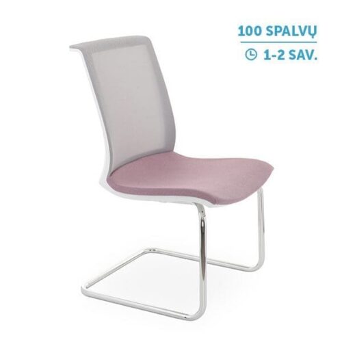 Lankytojų ir posėdžių kėdė Level V WS