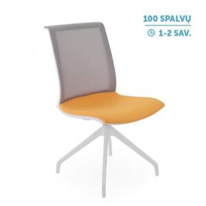 Lankytojų ir posėdžių kėdė LEVEL Cross WS